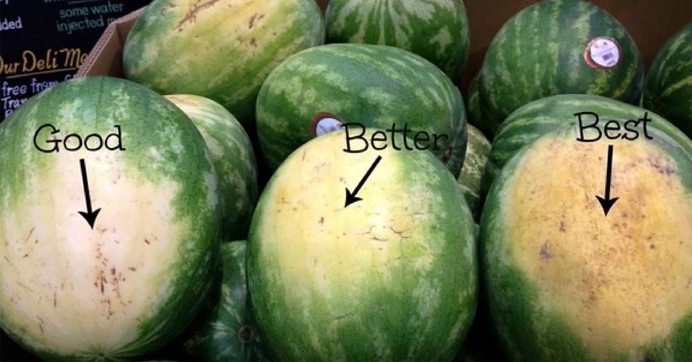 5 Tips To Help You Pick Out The Perfect Watermelon At The Grocery Store