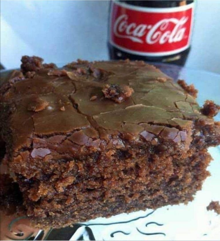 Double Chocolate Coca Cola Cake QuickRecipes