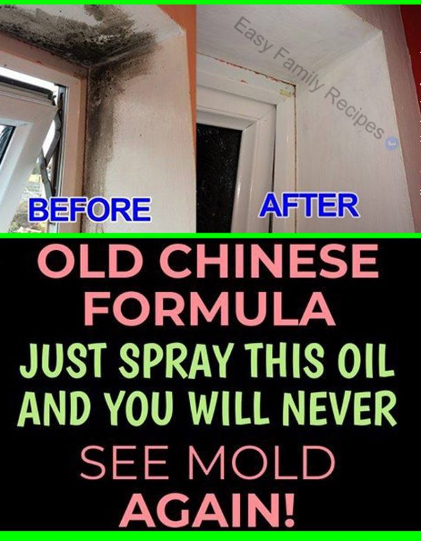 ANTIMOLD & MILDEW SPRAY BestQuickRecipes
